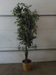 Artificial Plant