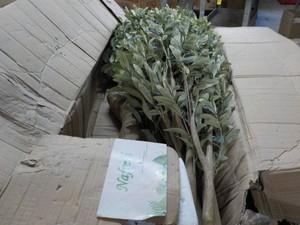 NaFresh Artificial Plant