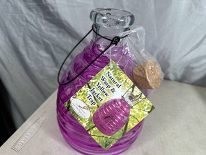 New Glass Wasp and Yellow Jacket Trap