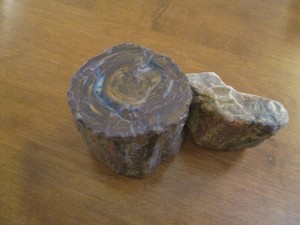 Pair of assorted size petrified wood