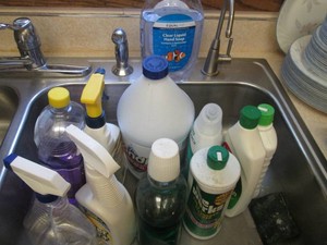 Variety of bathroom related cleaning supplies