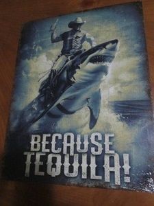 Tequila metal sign measures 12 x 14 inches