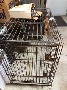 Large metal crate with grooming supplies