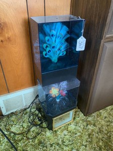 Fiber optic lamps, one with clock