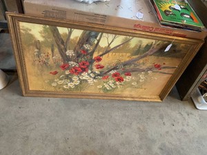 Framed Poppy picture