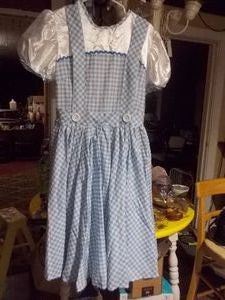 Adult Large Womens Blue and White Costume Dress