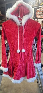 Santa and Sexy Mrs Clause