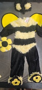 Baby bee costume