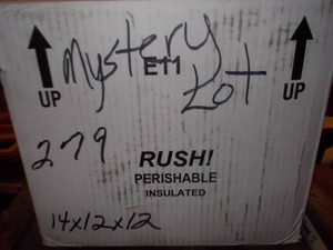Mystery Lot 279