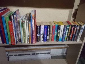 Vintage Assorted Reading Books Lot (Fiction, Non-Fiction & Literature)