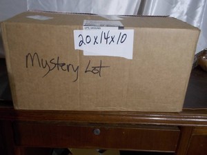 Surprise Mystery Box Lot (20x14x10)