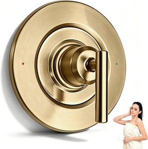 $50 T2901BN Shower Valve Trim Kit Compatible with Moen, Gold
