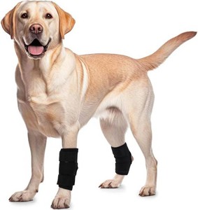 ROZKITCH Dog Knee Brace for Black Rear Front Legs Anti Licking Chewing L
