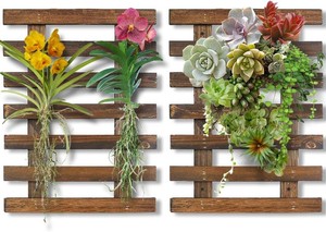 Mulctun 2 Pcs Wall Planters - 11.4W X 15.7H Wooden Wall Planters for Indoor Outdoor Plants,Hanging Wood Wall Trellis,Wall Mounted Plant Holder for Orchids,Succulent,Air Plants,Hanging Pots Display