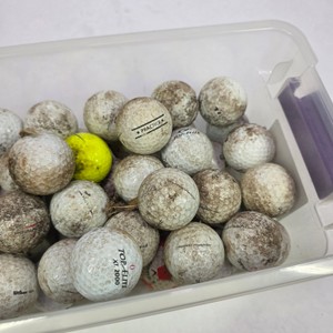 Assorted Used Golf Balls  Titleist, Callaway, Top-Flite & More