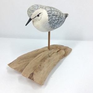 Hand-Painted Sanderling Shorebird Decoy on Driftwood Base