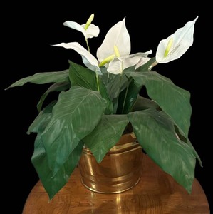 FR - Artificial Peace Lily in Brass Planter