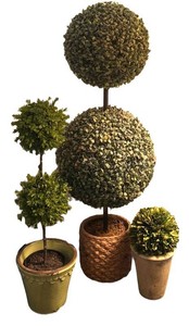 LR - Amazing Artificial Topiary Trees & Faux Greenery