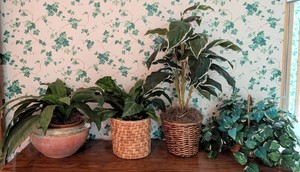 MB - Faux Plants & Artificial Greenery Mixed Lot (Lot of 4)