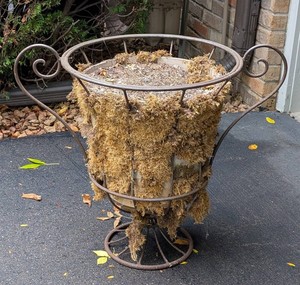 G - Garden Urn - Decorative Metal Scrollwork Planter
