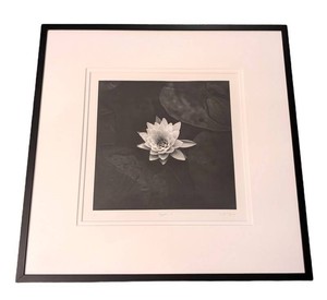 DR - Framed Art Print - Paula Taylor Signed & Numbered 9150