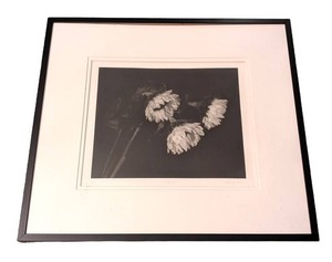 DR - Framed Art Print - Paula Taylor Signed & Numbered 4150