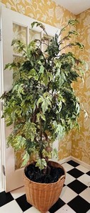 LR - Artificial Ficus Tree - Variegated Faux Plant in Woven Basket