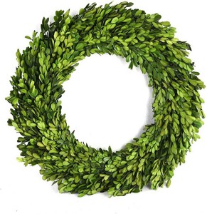 Preserved Boxwood Wreath 16 inches Home Decoration Full Green Indoor D cor for Halloween, Christmas Wedding All Seasons Home Decor (Wreath, 16)