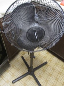 Duracraft freestanding oscillating fan