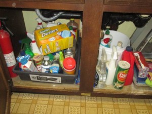 Content under kitchen sink to include a wide variety cleaning agents and supplies