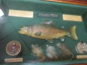 Vintage fishing themed Shadowbox approx 8x10in