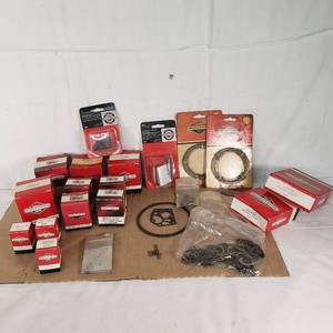 Briggs & Stratton Small Engine Parts Lot including Valve Kit 299060, Clutch Starter 399671, Diaphragm Assembly 391681, and More