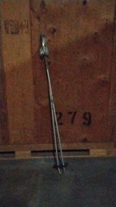 silver ski poles
