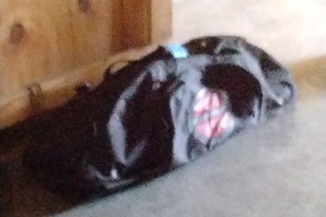 LEADERSHIP martial arts bag with pads