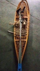 snow shoes and poles