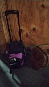 bowling balls with bags