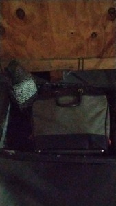 clamps, ice skates in bag, owl statue
