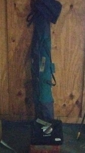 ping pong balls, tall green bag