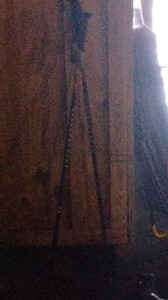 Black ski poles