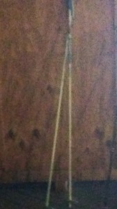 white ski poles