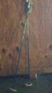 white and blue ski poles