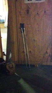 silver ski poles
