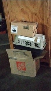2 boxes of kitchen items and a animal carrier