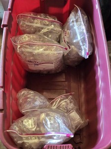Small Clear Plastic Heart Containers - Approx. 275