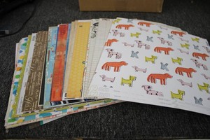 12x12 Card stock over 100 sheets