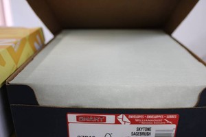 WILLIAM HOUSE 500ct envelopes