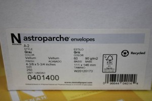Nastroparche envelopes 250ct