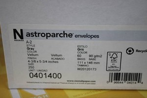 Nastroparche envelopes 250ct