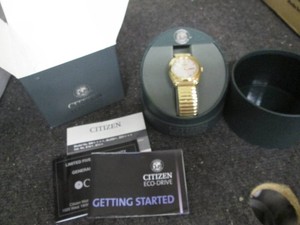 Citizen eco drive watch