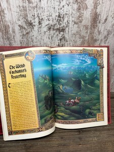 Wizards and Witches Book